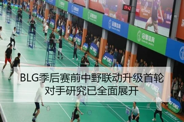 BLG季后赛前中野联动升级首轮对手研究已全面展开
